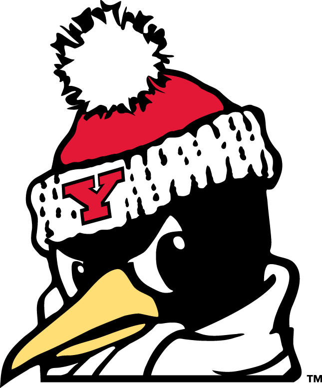 Youngstown State Penguins 1993-Pres Alternate Logo v6 diy DTF decal sticker